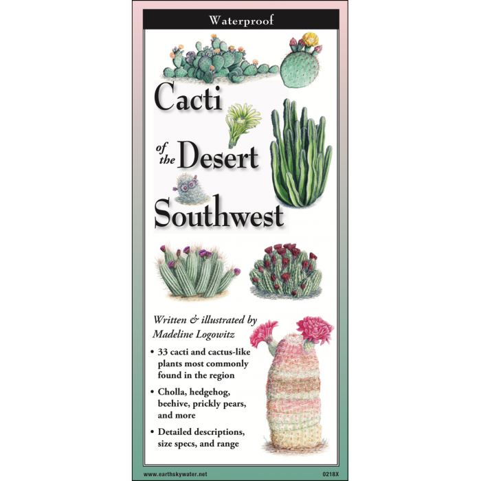 Cover of the ‘Cacti of the Desert Southwest’ guide featuring illustrations of various cacti with a desert background