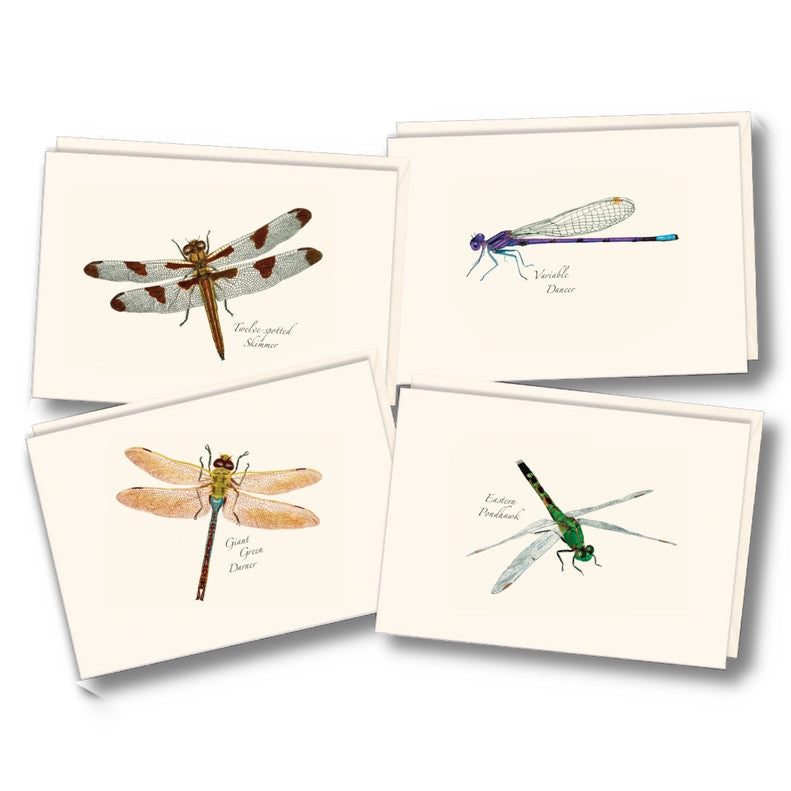 the four notecards in the dragonfly & damselfly notecard assortment featuring twelve spotted skimmer, a variable dancer, a giant green darner, and an eastern pondhawk