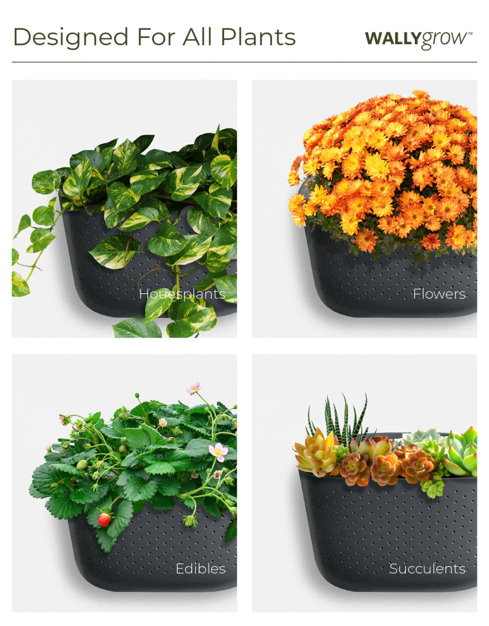 a graphic showing 4 eco planters filled with different plants to show the planter's versatility: Houseplants, Flowers, Edibles, and Succulents