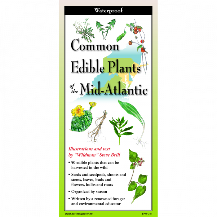 The cover image of edible plants of the northeast folding guide featuring a selection of illustrations of edible plants against a map of the Mid-Atlantic US states