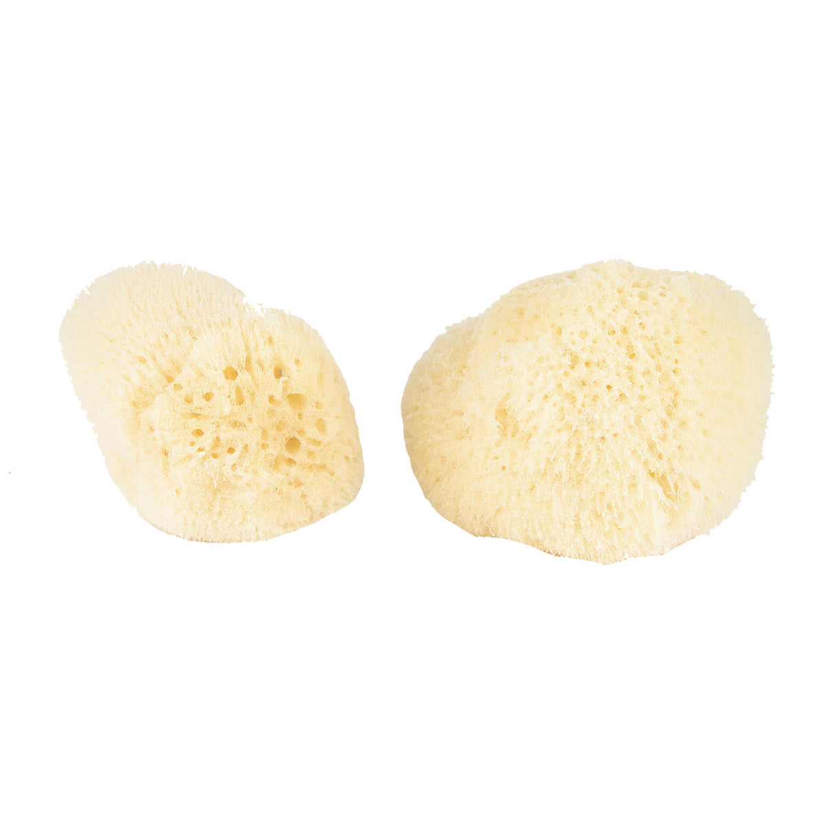 two silk sponges against a white background