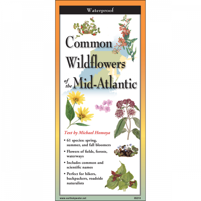 The cover image of Common Wildflowers of the Mid-Atlantic folding guide featuring a selection of illustrations of wildflowers against a map of the Mid-Atlantic US states