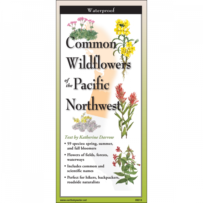 The cover image of Common Wildflowers of the Pacific Northwest folding guide featuring a selection of illustrations of wildflowers against a map of the Northwestern US states and British Columbia.