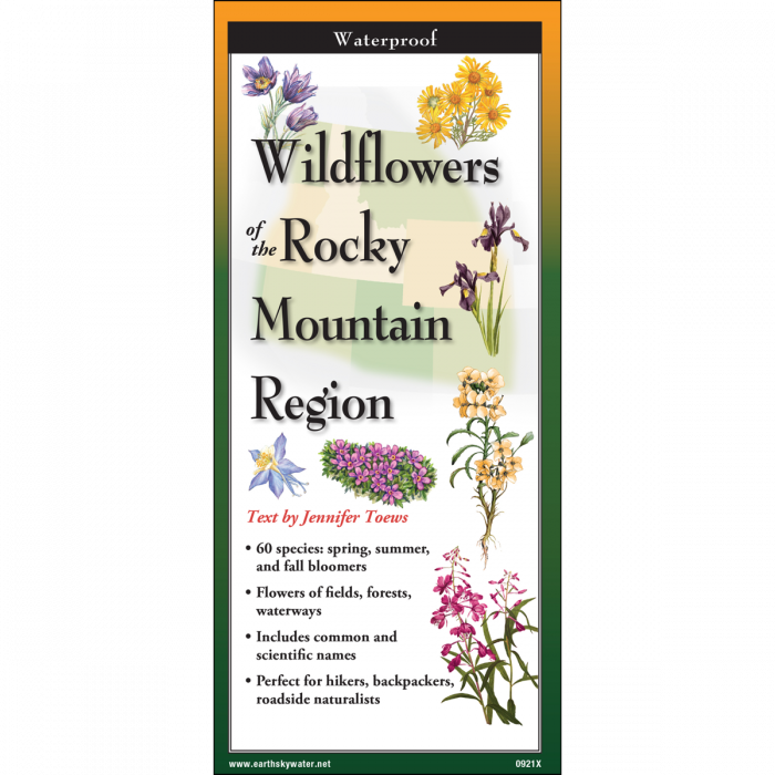 The cover image of Wildflowers of the rocky Mountain Region folding guide featuring a selection of illustrations of wildflowers against a map of the Mid-Atlantic US states