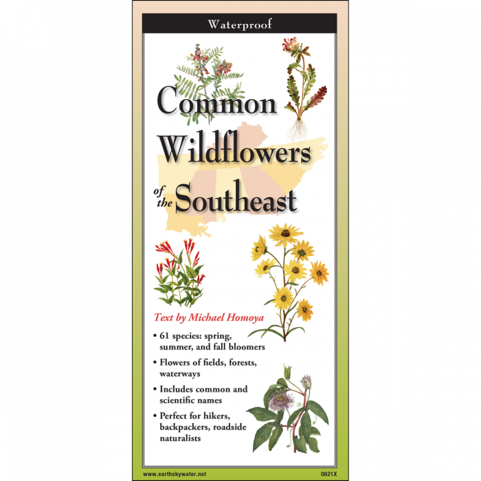 The cover image of Common Wildflowers of the Southeast folding guide featuring a selection of illustrations of wildflowers against a map of the Southeastern US states