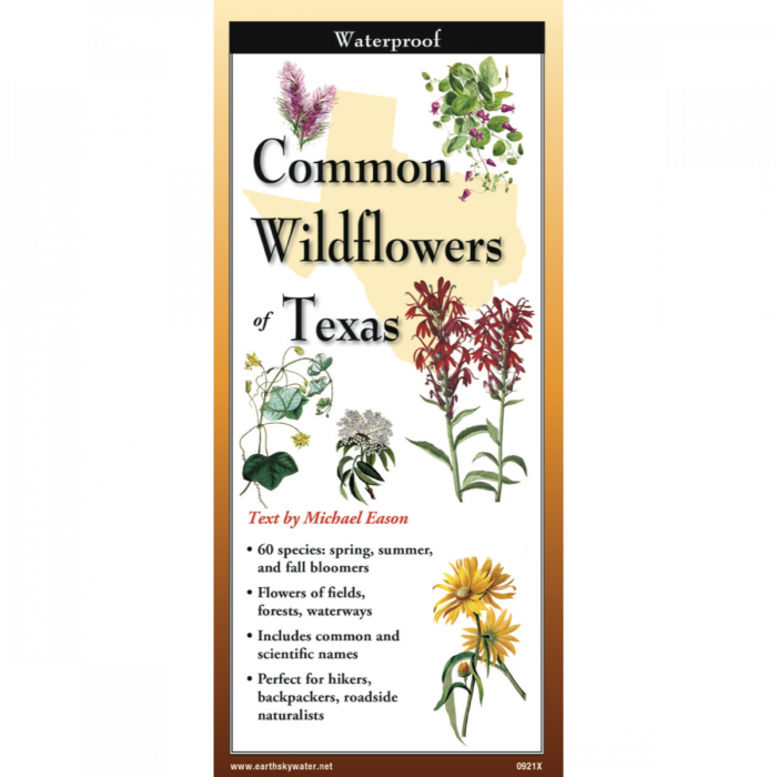 The cover image of Common Wildflowers Texas folding guide featuring a selection of illustrations of wildflowers against a map of Texas