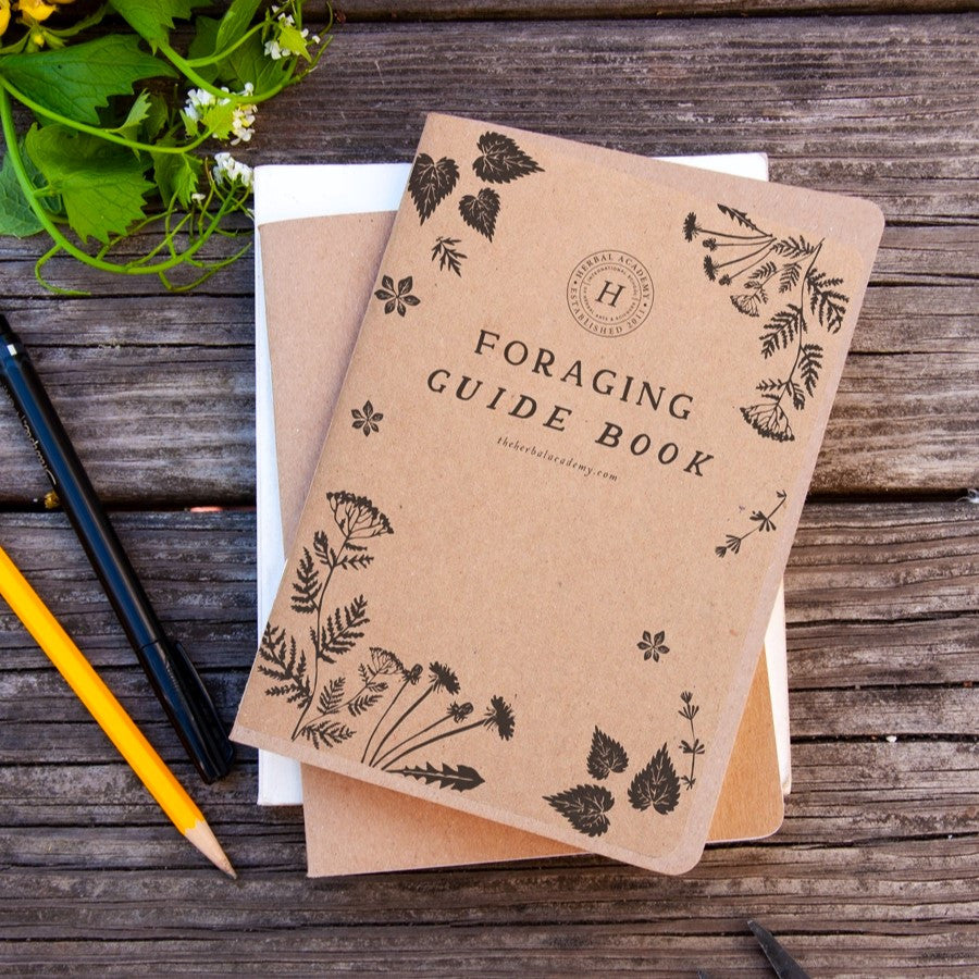 the foraging guide book and record book stacked atop one another on a rustic wood surface alongside a pen, pencil, and foraged herbs