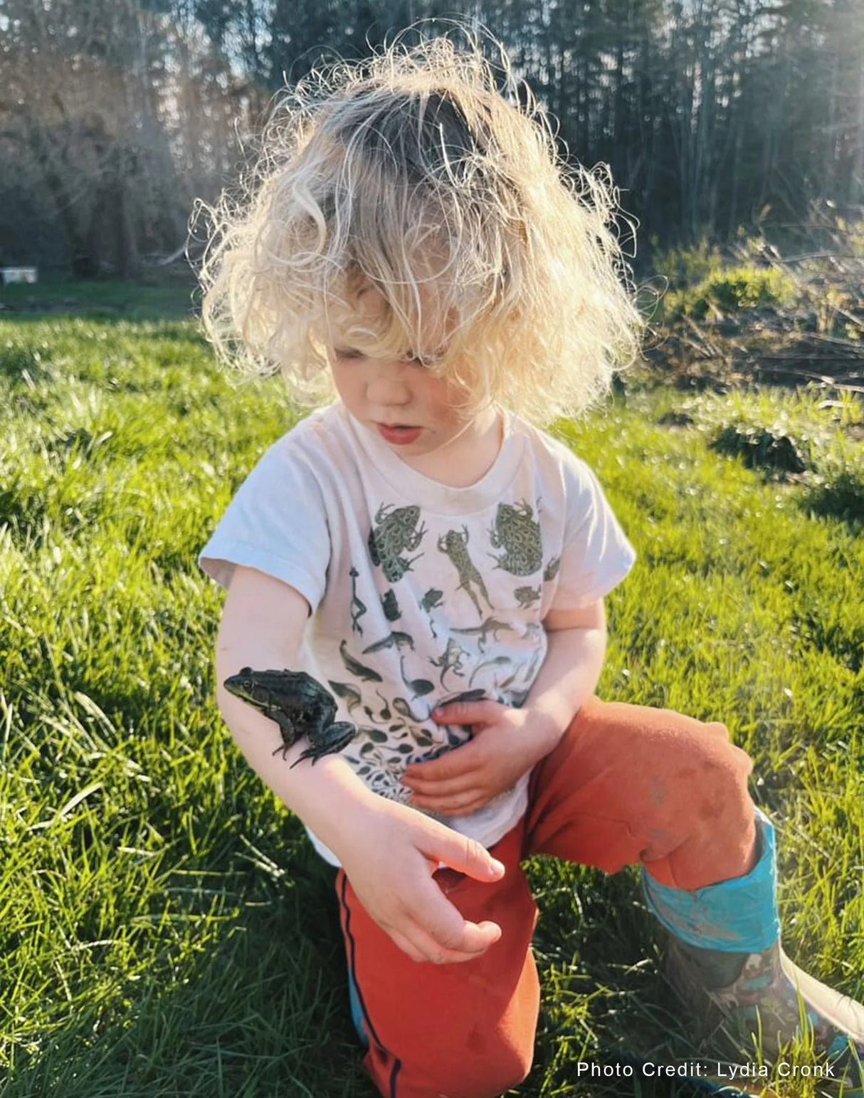 Child holding a frog and wearing the frog tee outdoors in a grassy area