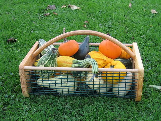 Harvest and wash your garden's veggies with a hod