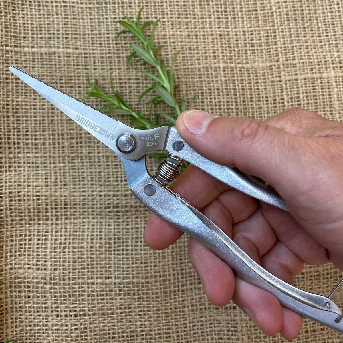Garden Snips