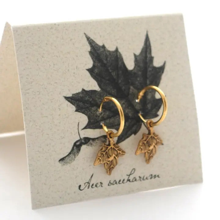 gold maple hoop earrings on an off white backer card printed with a black and gray illustration of a maple leaf