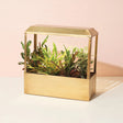 a brass countertop growhouse with sleek modern design and LED grow lights filled with lush houseplants