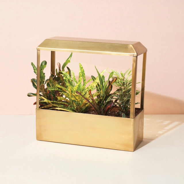 a brass countertop growhouse with sleek modern design and LED grow lights filled with lush houseplants