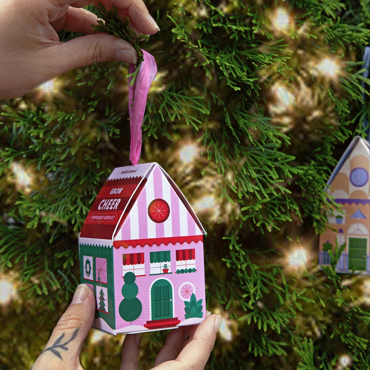 the Grow Cheer - peppermint ornament hung from an evergreen tree with twinkle lights