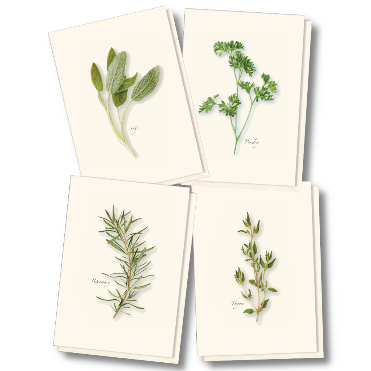 Herb Notecard Assortment