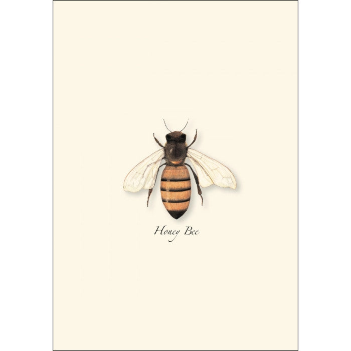 a close up of the honey bee illustration on the notecard