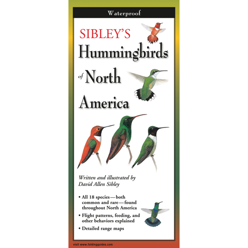 The cover image of Sibley’s Hummingbirds of North America folding guide featuring a selection of illustrations of hummingbirds against a white background