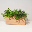 a rectangular bamboo planter filled with lush, vibrant herbs