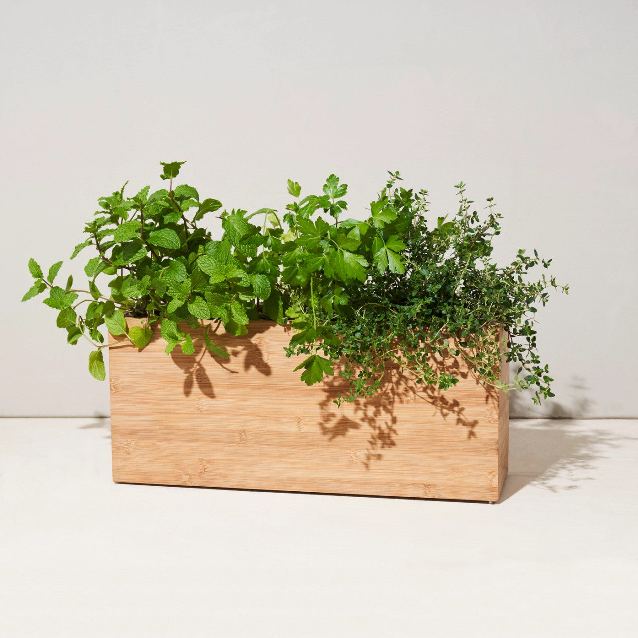a rectangular bamboo planter filled with lush, vibrant herbs