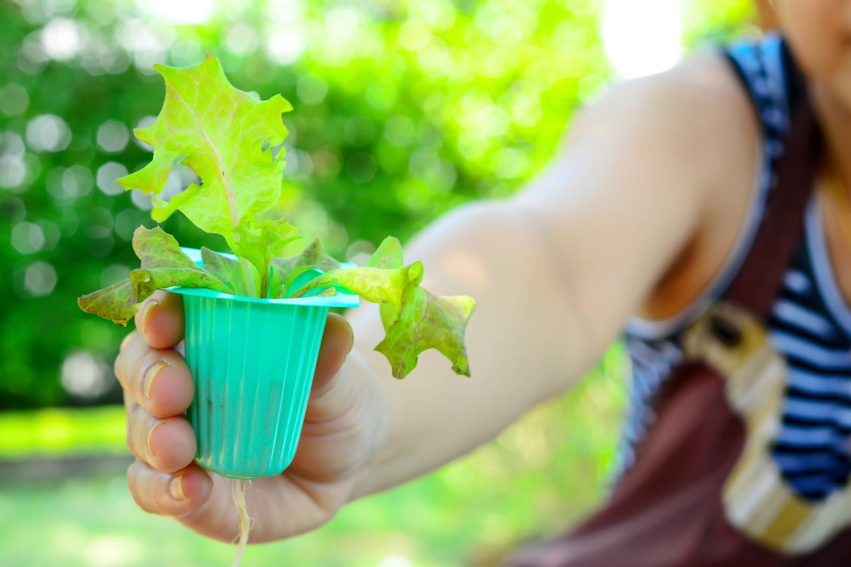 Hydroponics Gardening 101 Webinar  Recording