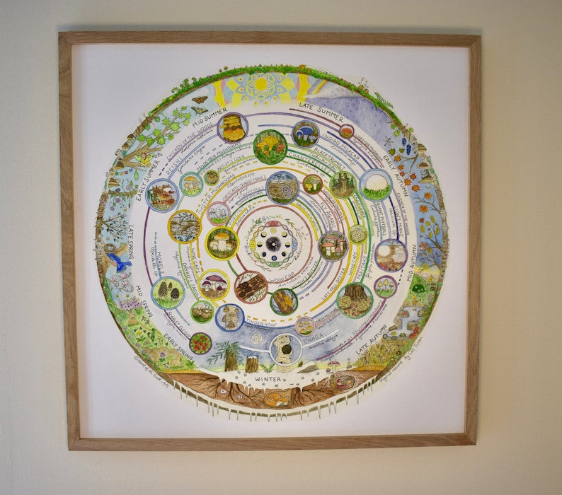 Giclée Art Print - Mushroom Foraging Calendar