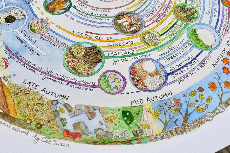 Giclée Art Print - Mushroom Foraging Calendar