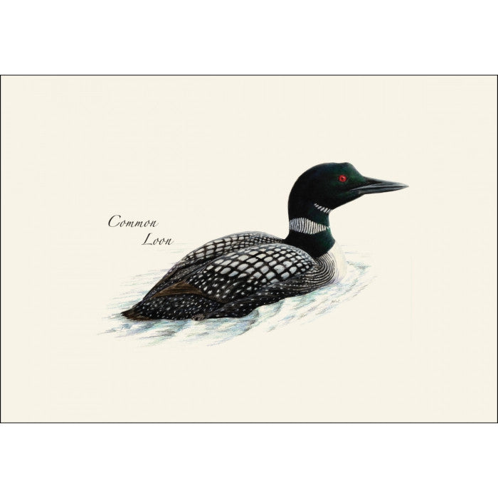 a close up of the art on one of the notecards featuring an illustration of a common loon on the water swimming away from the viewer