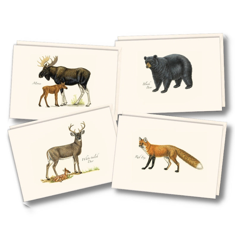 the four notecards in the mammal notecard assortment featuring moose, a black bear, red fox, and white tailed deer