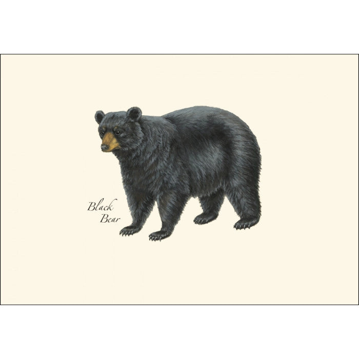 a close up of the art on one of the notecards featuring an illustration of a black bear