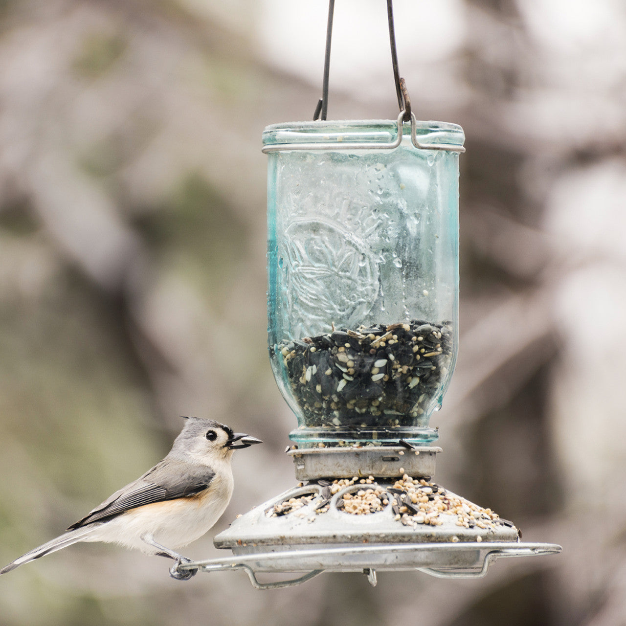 Mason Jar Wild Bird Feeder
