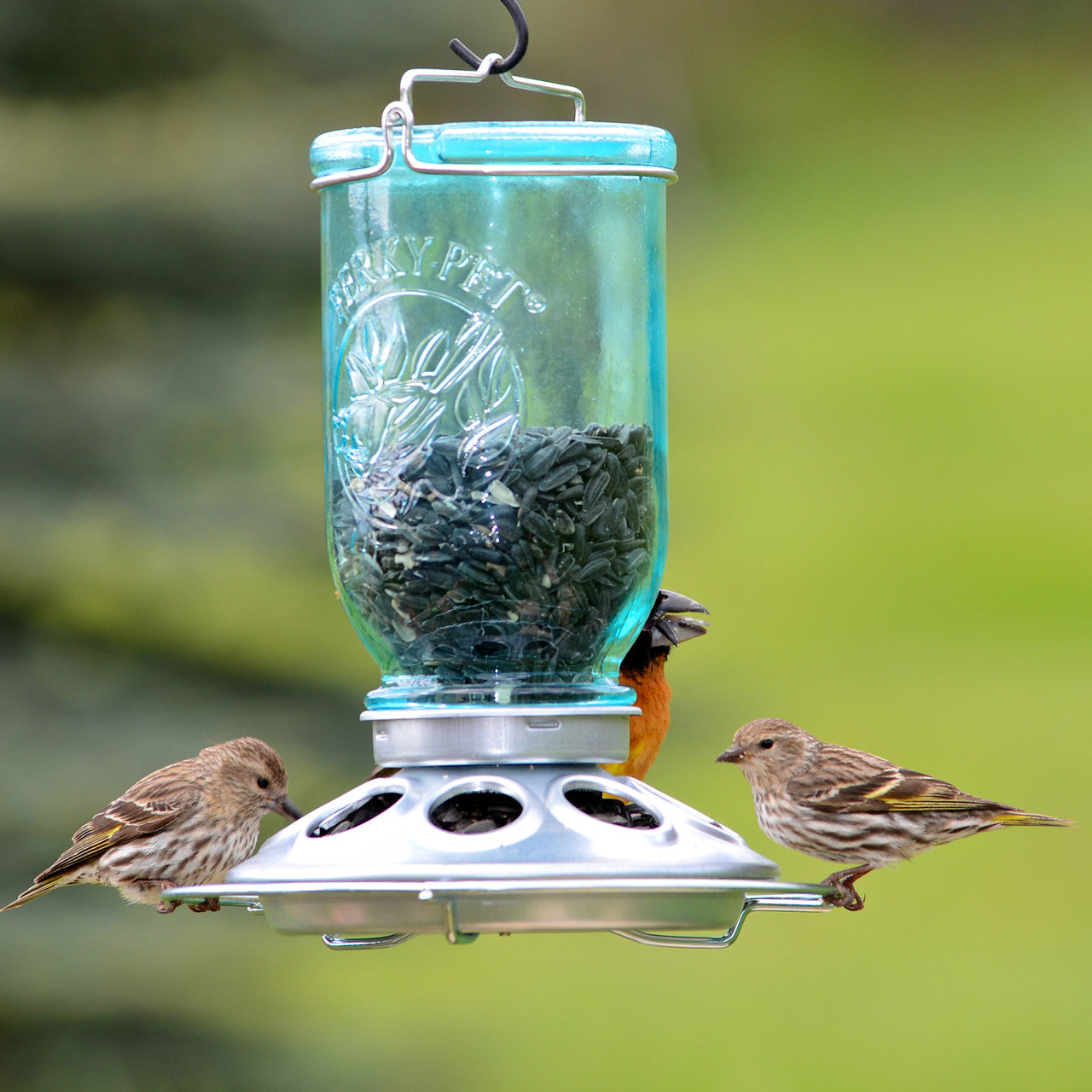 Mason Jar Wild Bird Feeder