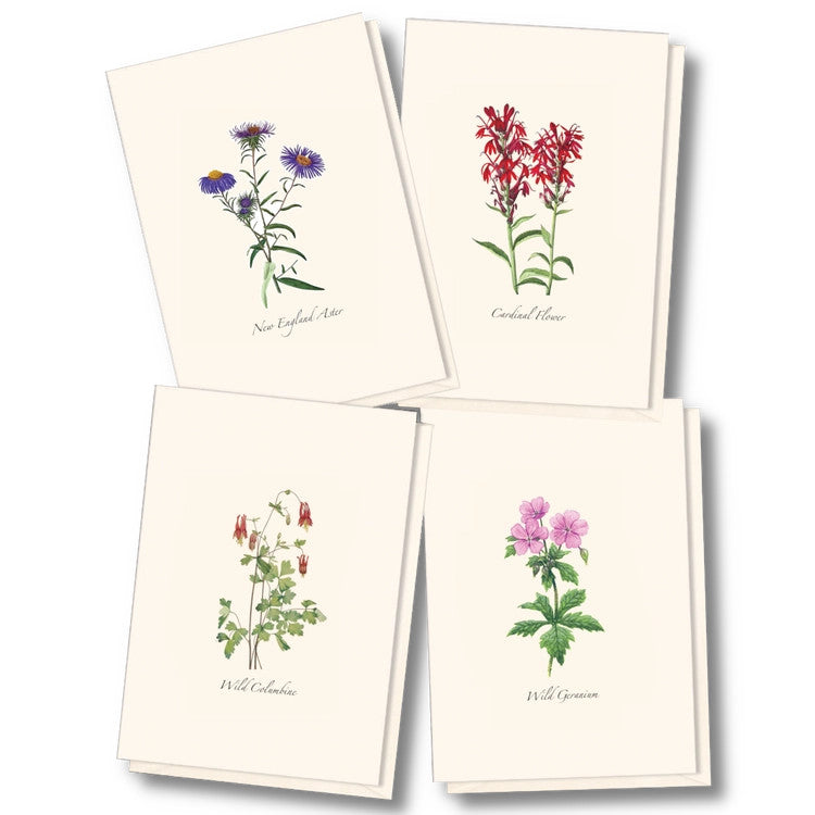 the four card designs in the meadow wildflower assortment adorned with illustrations of wildflowers
