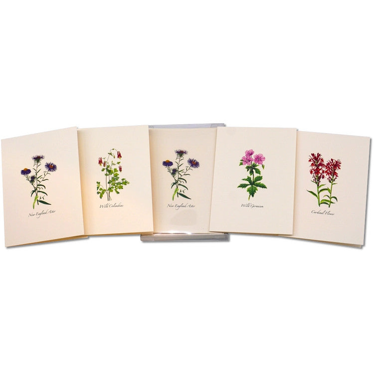 a spread of 5 of the notecards in the meadow wildflower assortment