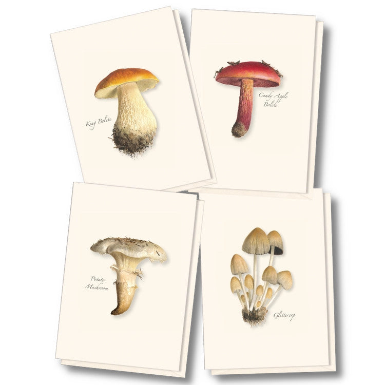 the four card designs in the mushroom notecard assortment adorned with illustrations of wild mushrooms