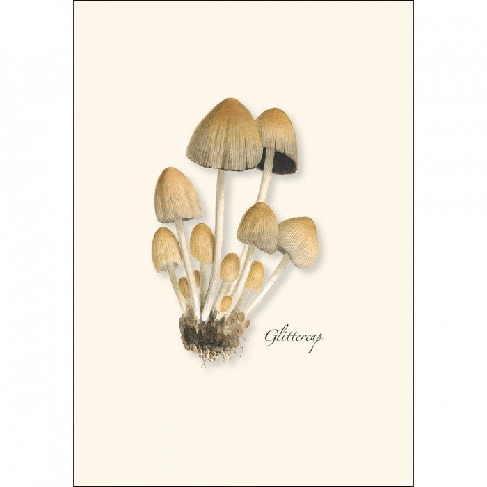 a close up of the art on one of the notecards featuring an illustration of a Glittercap mushroom