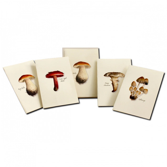 a spread of 5 of the notecards in the mushroom notecard assortment