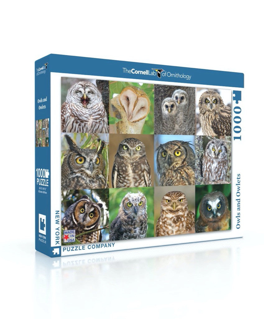 Owls and Owlets Jigsaw Puzzle 1000 Piece