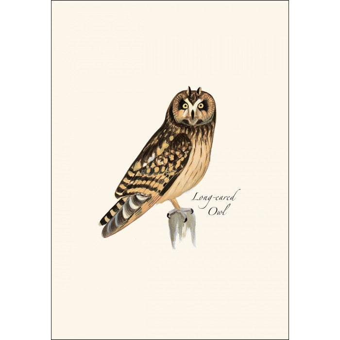 a close up of the art on one of the notecards featuring an illustration of a long-eared owl