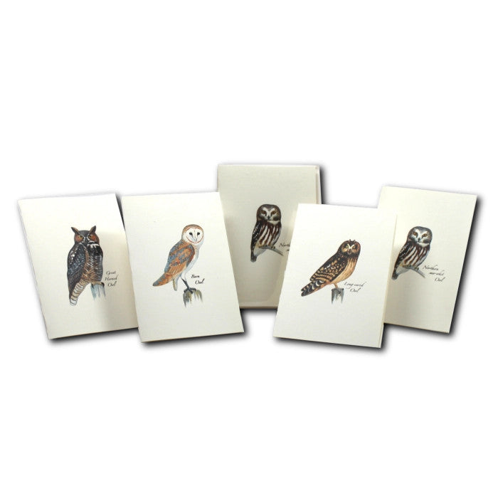 a spread of 5 of the owl assorted notecards