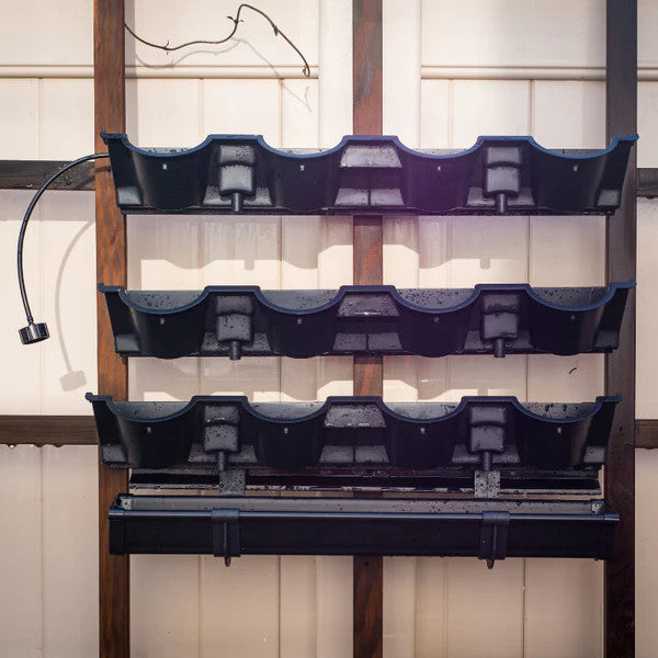 Picture Garden Starter Kit