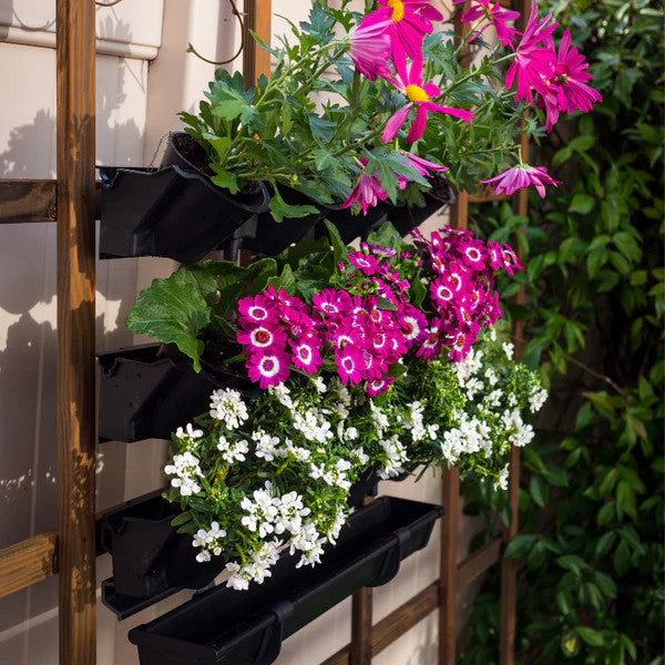 Picture Garden Starter Kit