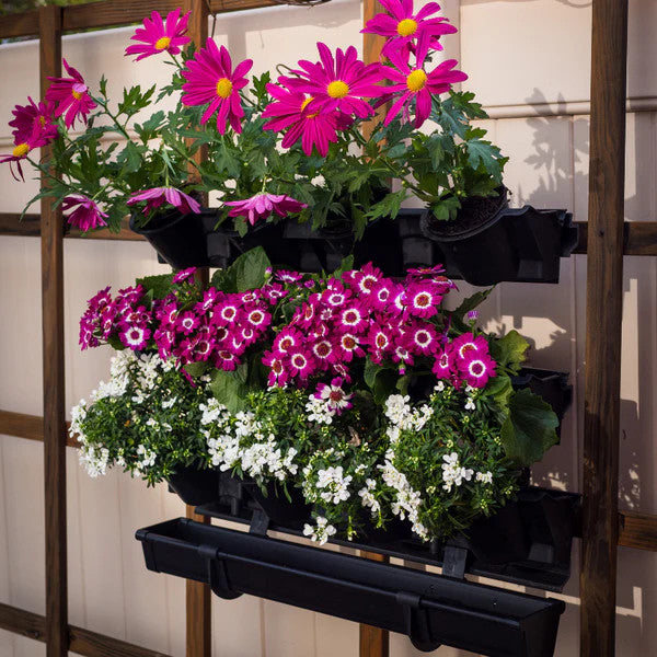 Picture Garden Starter Kit