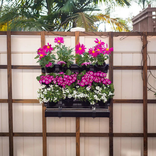 Picture Garden Starter Kit