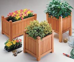 Wooden Planter Boxes