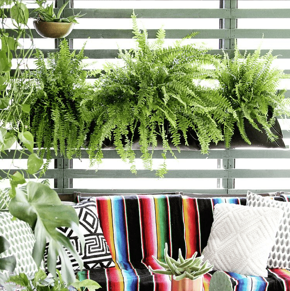 Pocket Wall Planter