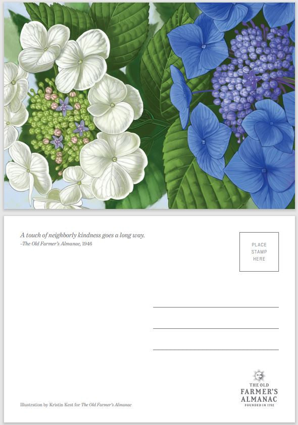 Almanac Postcards 4-Pack