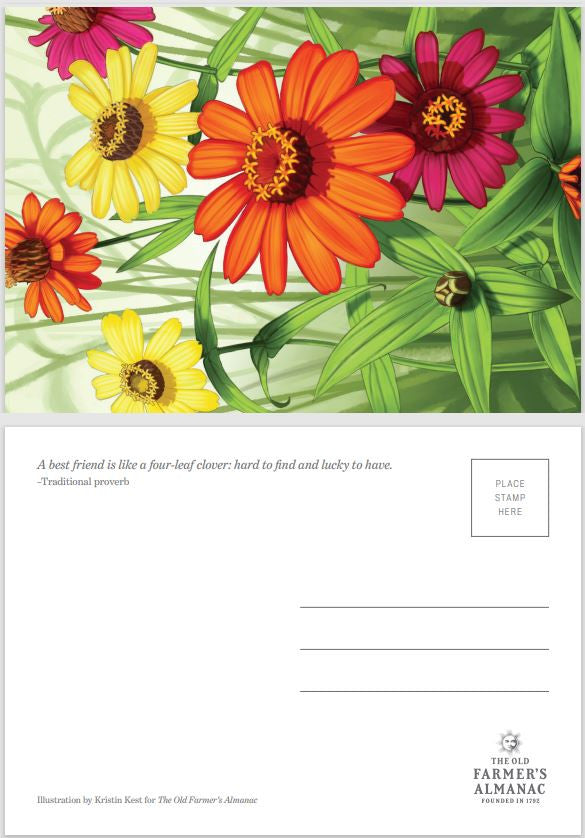Almanac Postcards 4-Pack