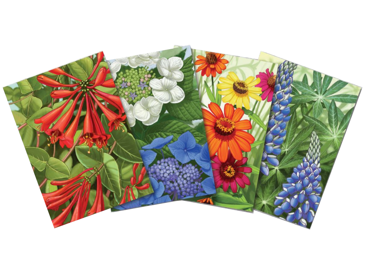 Almanac Postcards 4-Pack