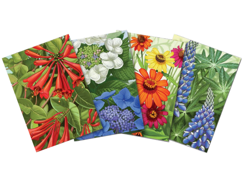 Almanac Postcards 4-Pack