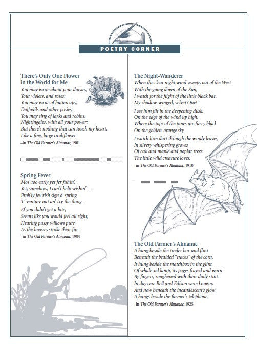 Puzzles & Pleasantries - eBook